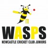 Newcastle Cricket Club WASPS